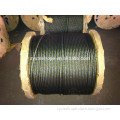 ungalvanized steel wire rope with one blue strand 6*19